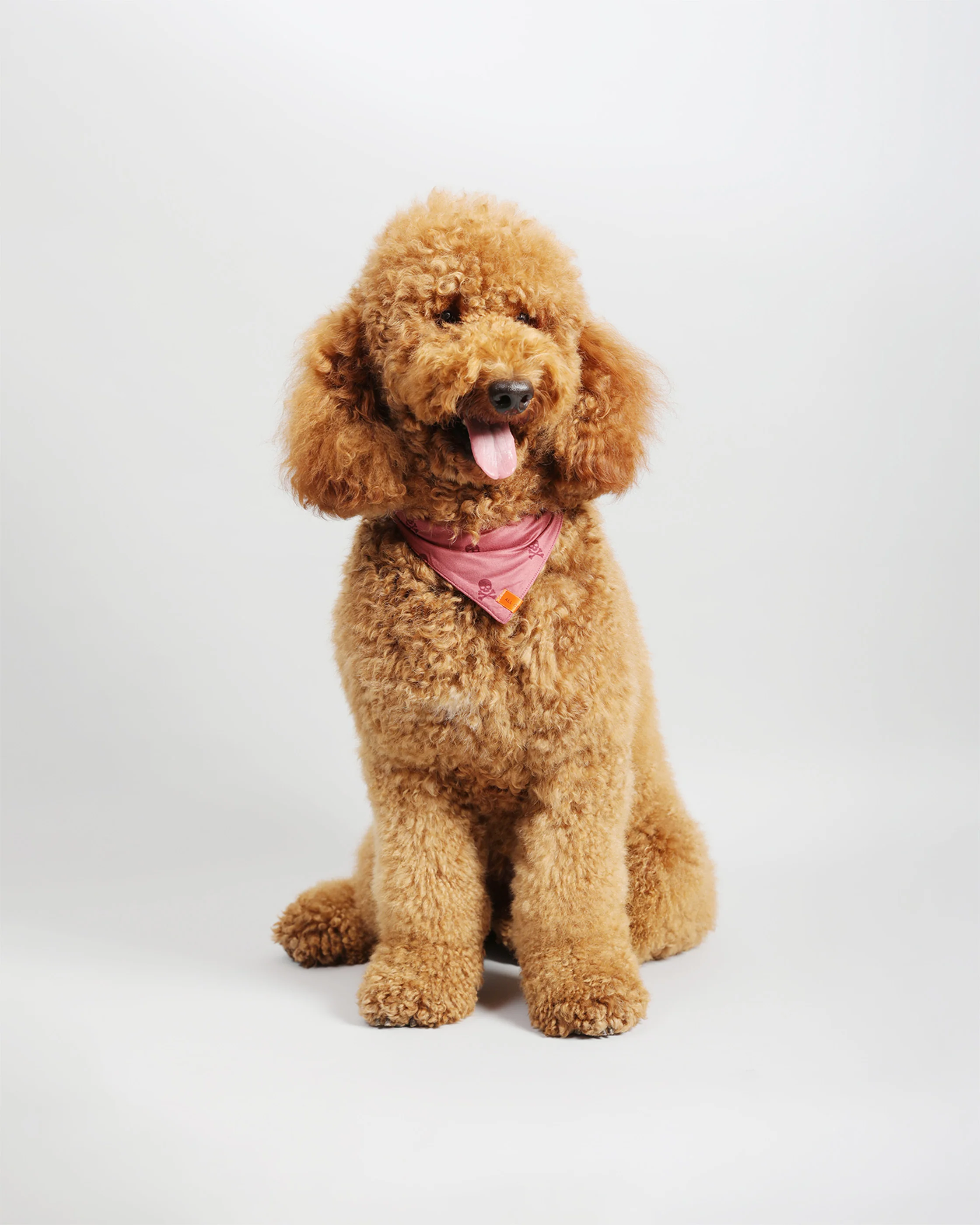 Pawkerchiefs - Image 3